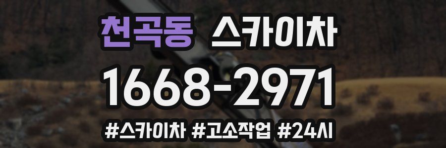 천곡동 스카이차