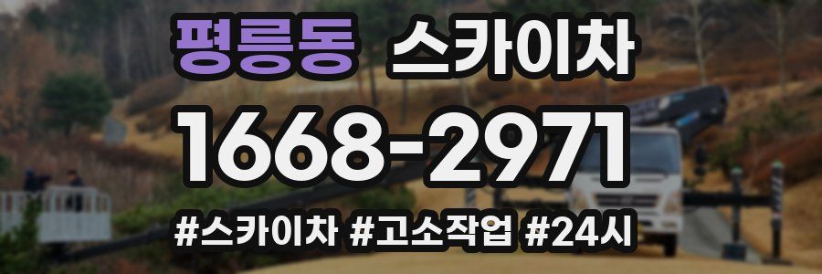 평릉동 스카이차