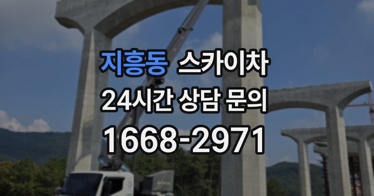 지흥동 스카이차