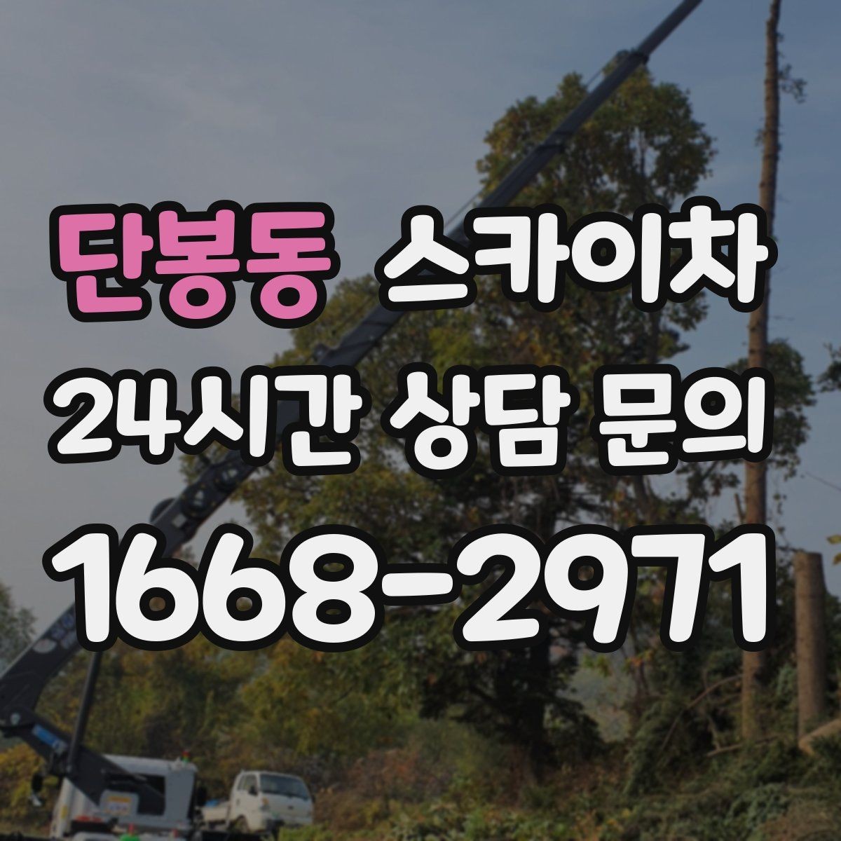 단봉동 스카이차 외벽 타일 들뜸 점검과 보수