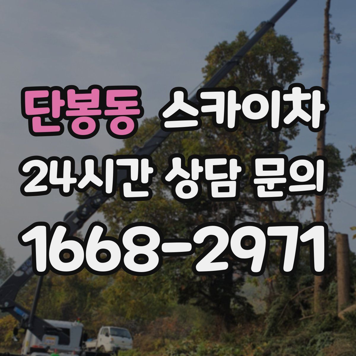 단봉동 스카이차