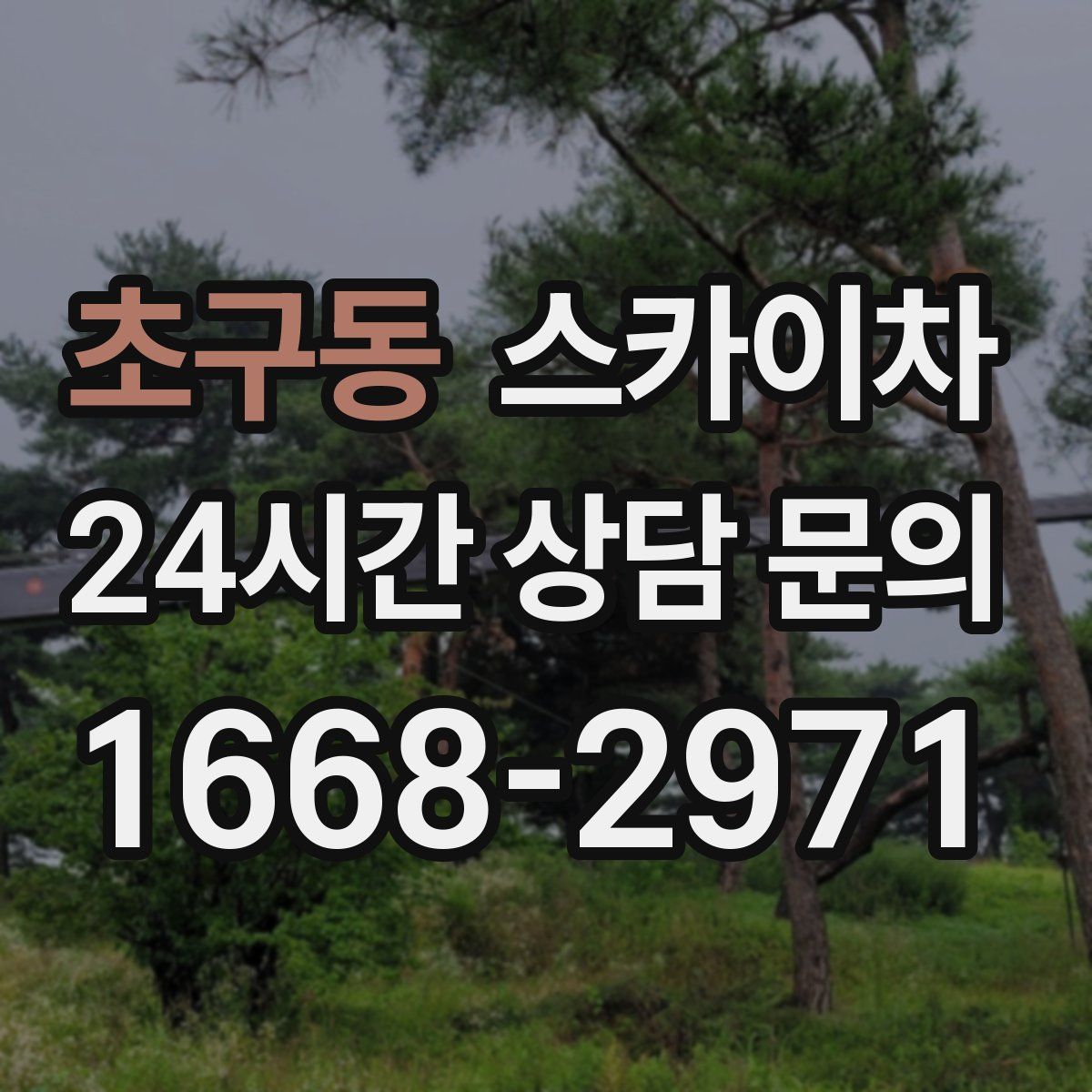 초구동 스카이차