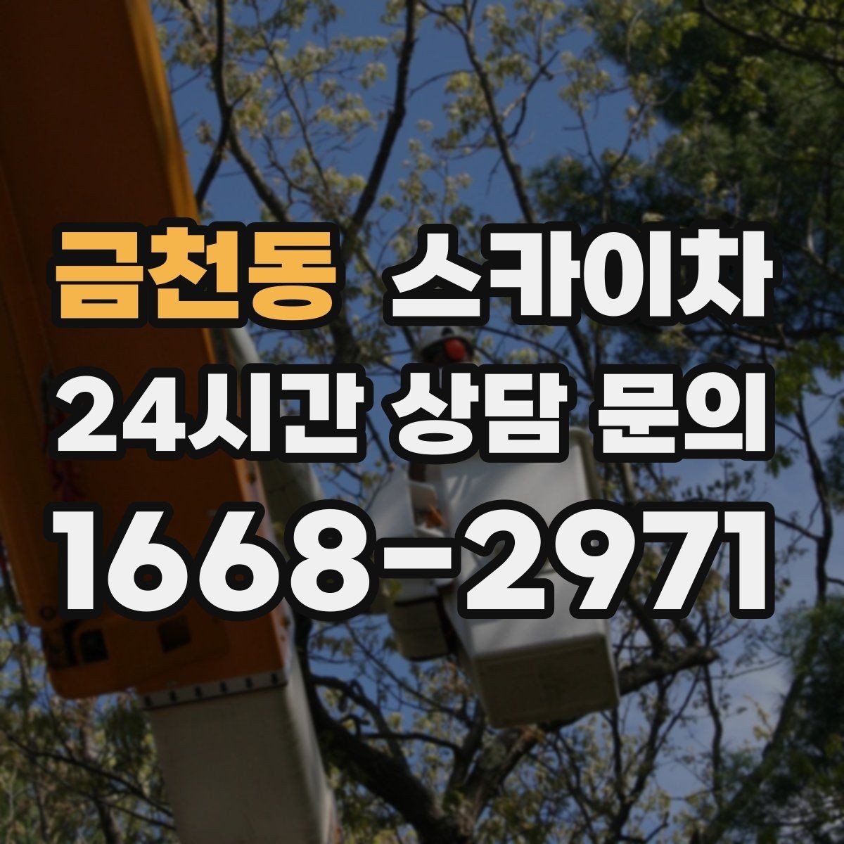 금천동 스카이차 외부 배선 정리로 깔끔한 외관 만들기