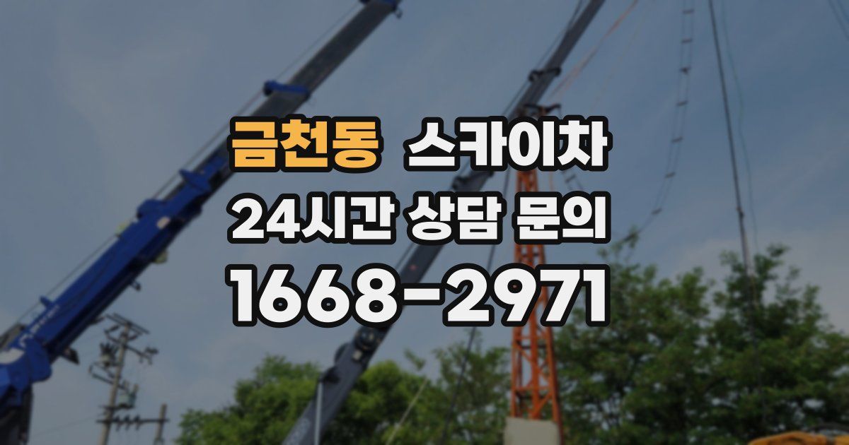 금천동 스카이차