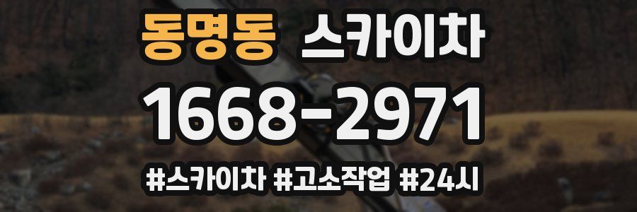 동명동 스카이차