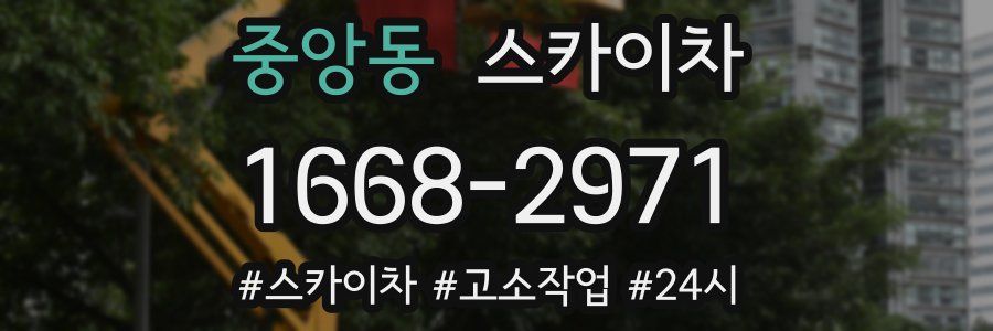 중앙동 스카이차