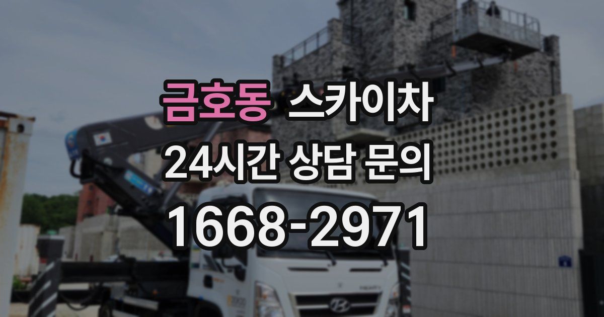 금호동 스카이차