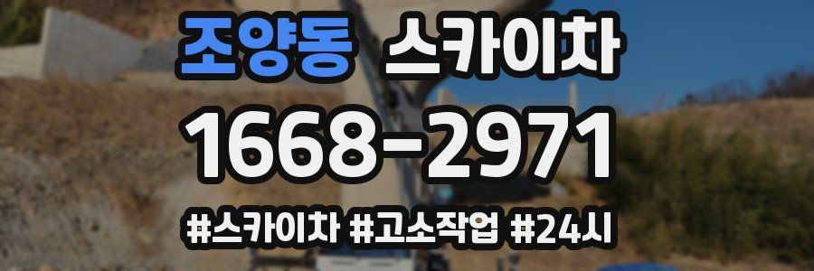 조양동 스카이차