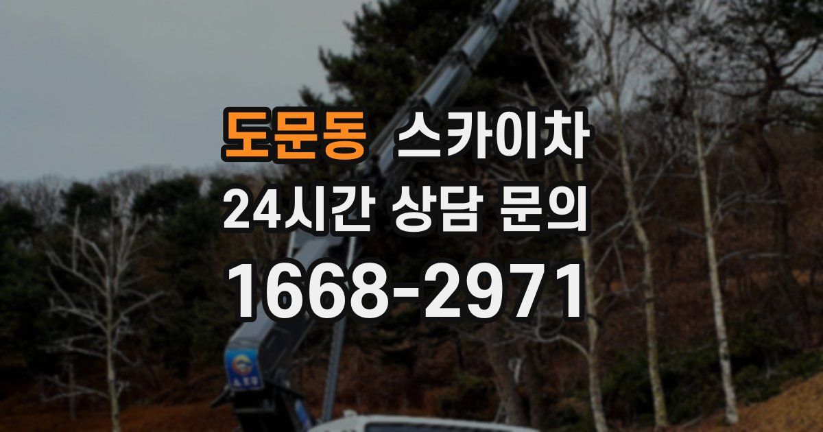 도문동 스카이차