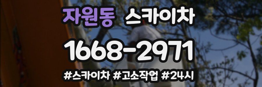 자원동 스카이차