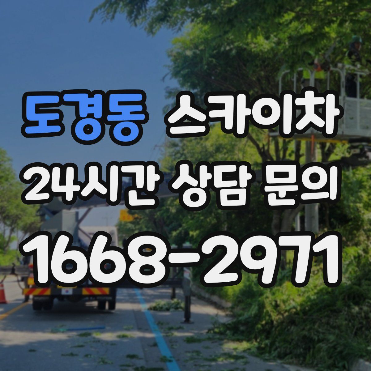 도경동 스카이차