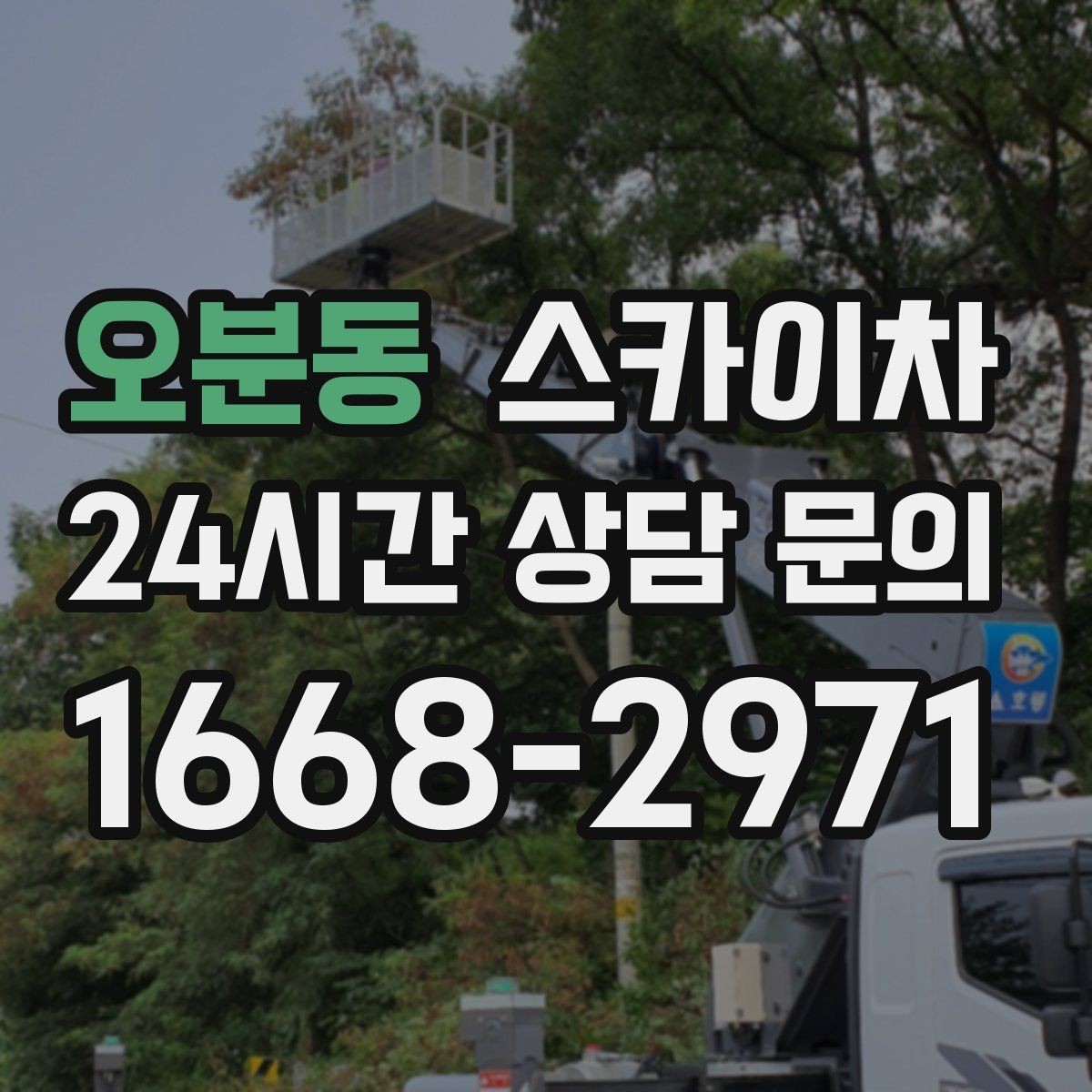 오분동 스카이차 크리스마스 조명 설치를 안전하게