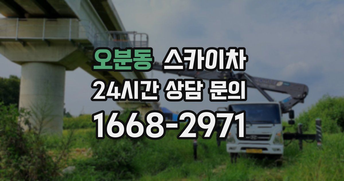 오분동 스카이차