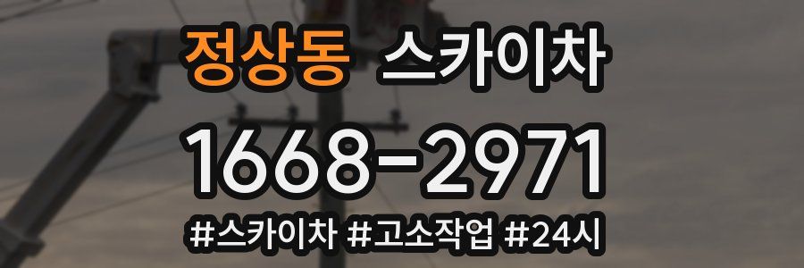 정상동 스카이차