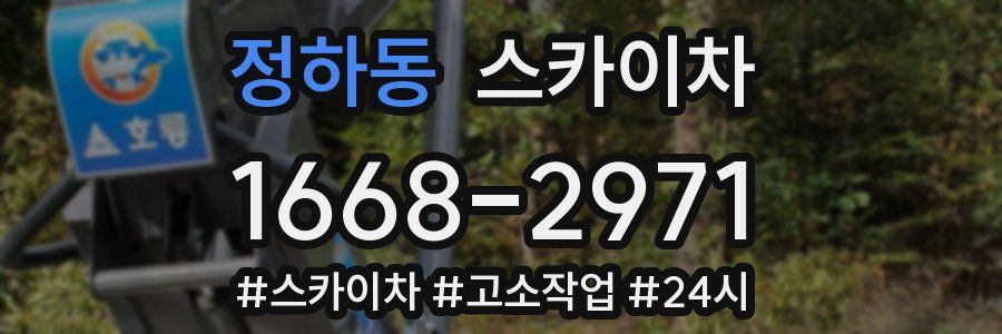 정하동 스카이차