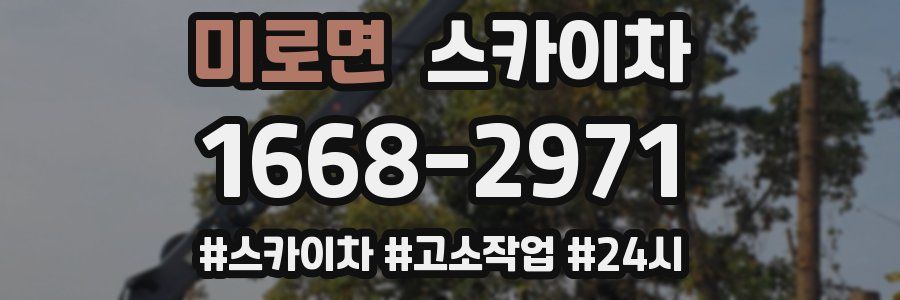 미로면 스카이차