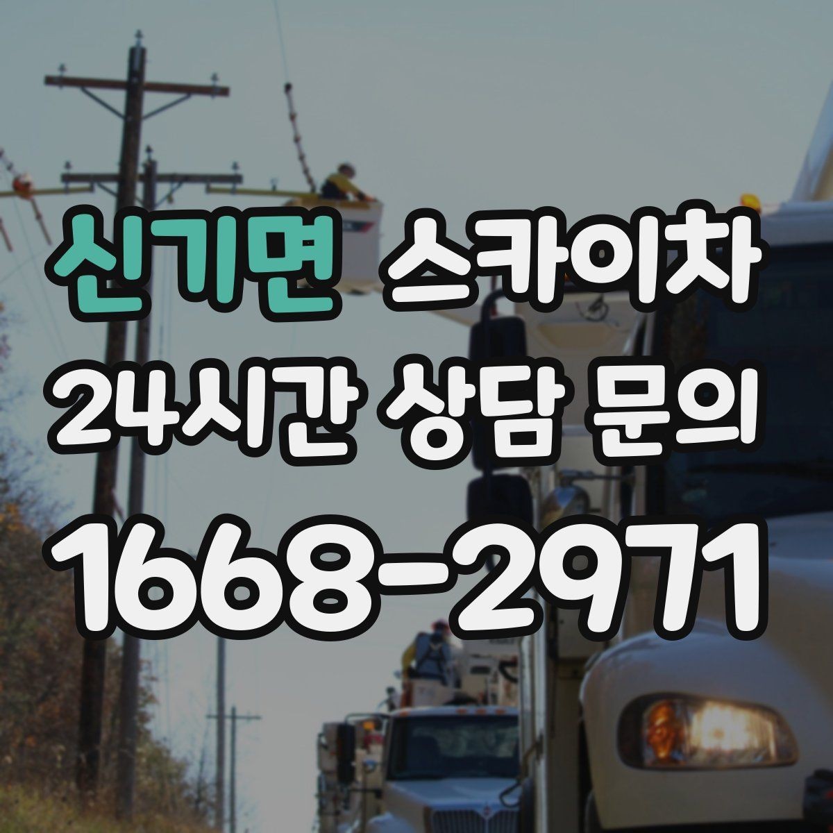 신기면 스카이차 크리스마스 조명 설치를 안전하게