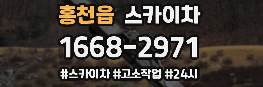 홍천읍 스카이차