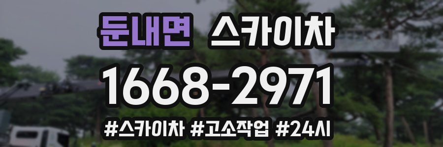 둔내면 스카이차
