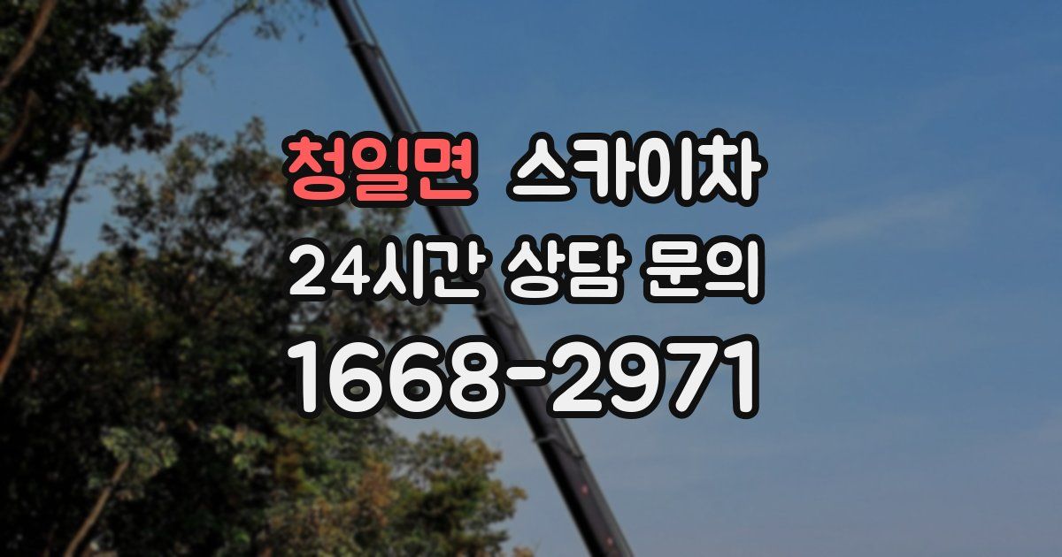 청일면 스카이차