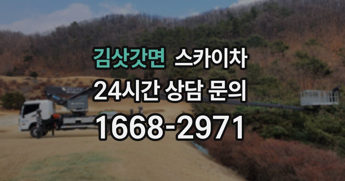 김삿갓면 스카이차