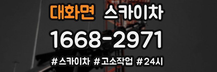 대화면 스카이차