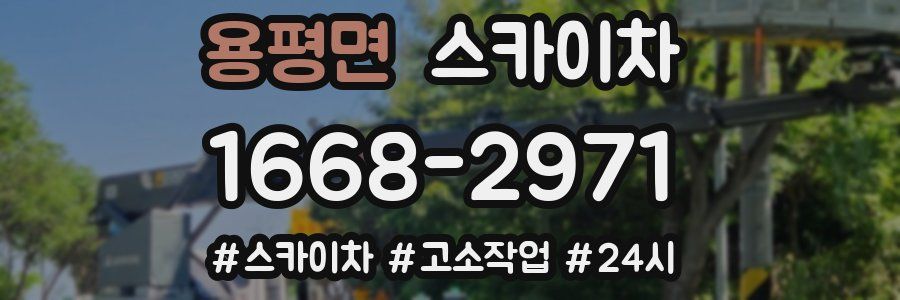 용평면 스카이차