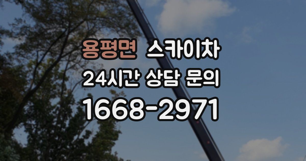 용평면 스카이차