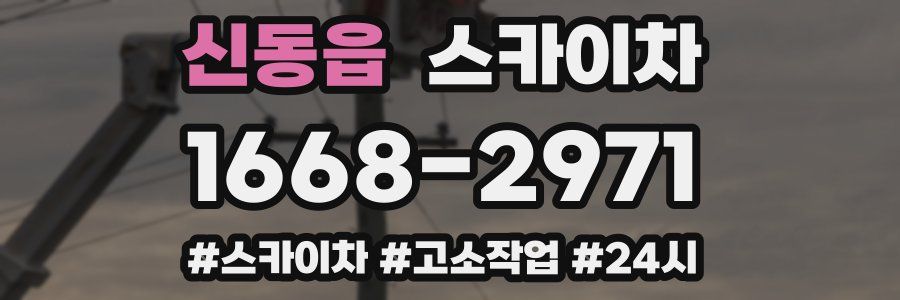 신동읍 스카이차