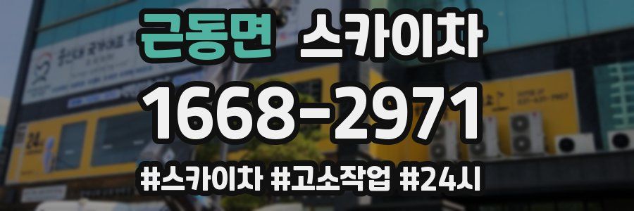 근동면 스카이차