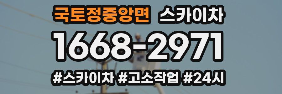 국토정중앙면 스카이차