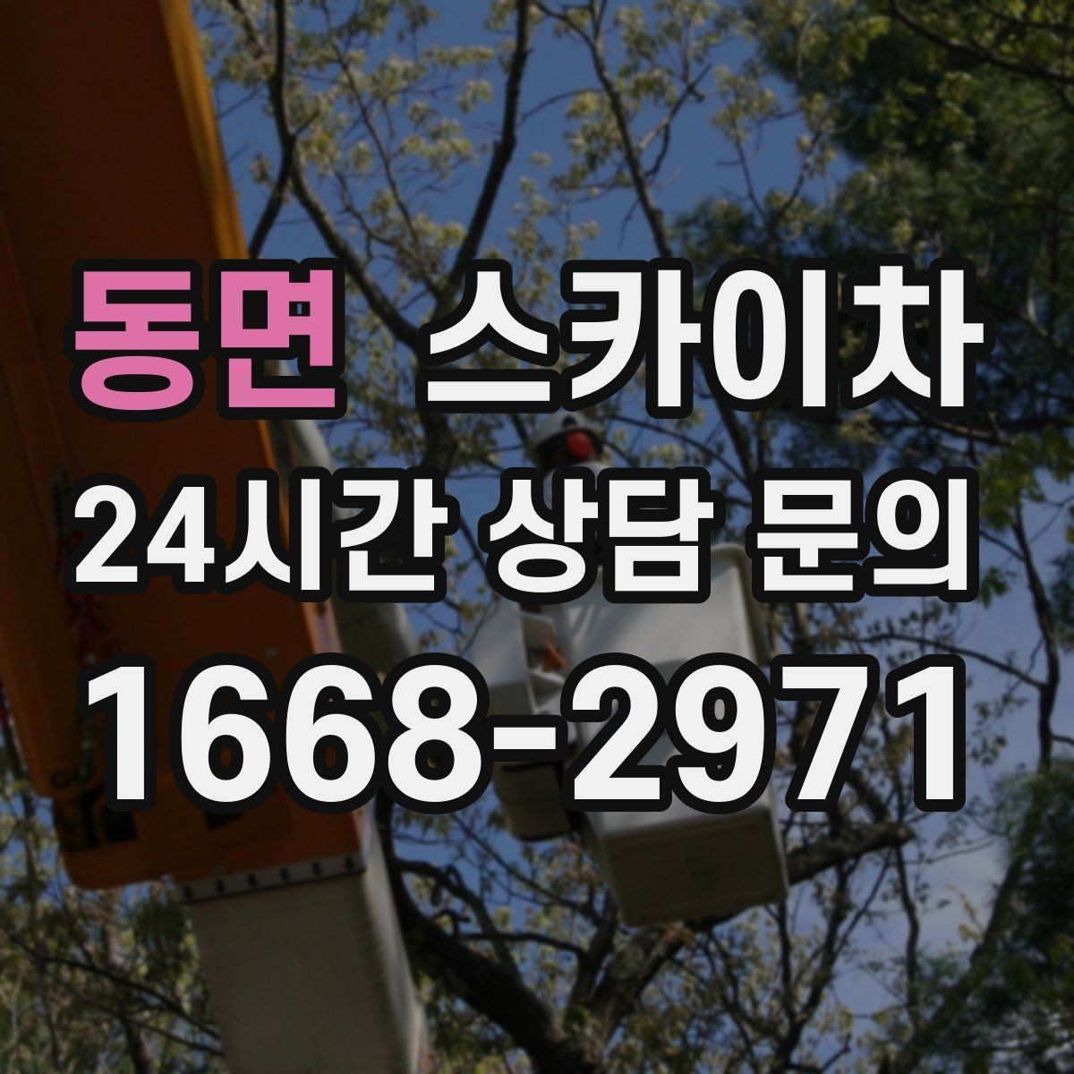 동면 스카이차 인도 작업이 필요한 경우 체크 포인트