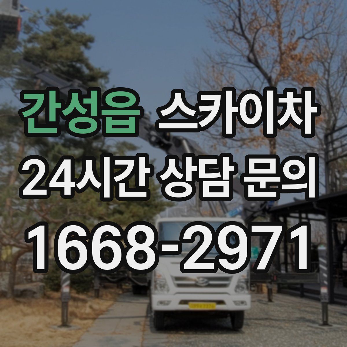 간성읍 스카이차