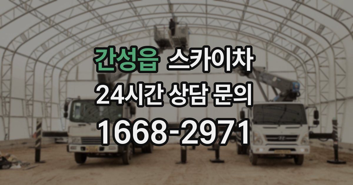 간성읍 스카이차
