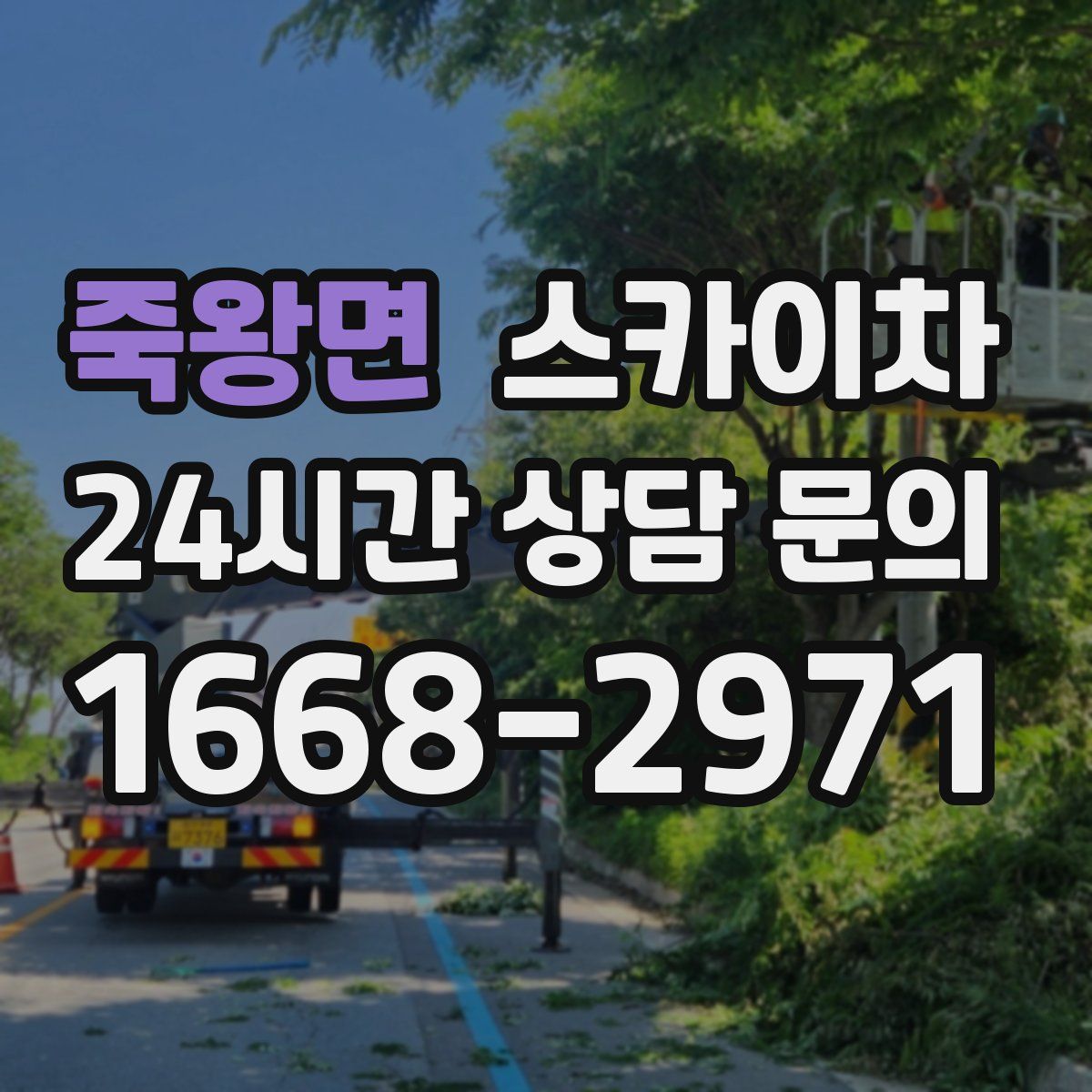 죽왕면 스카이차