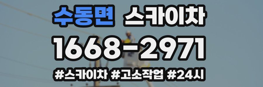 수동면 스카이차