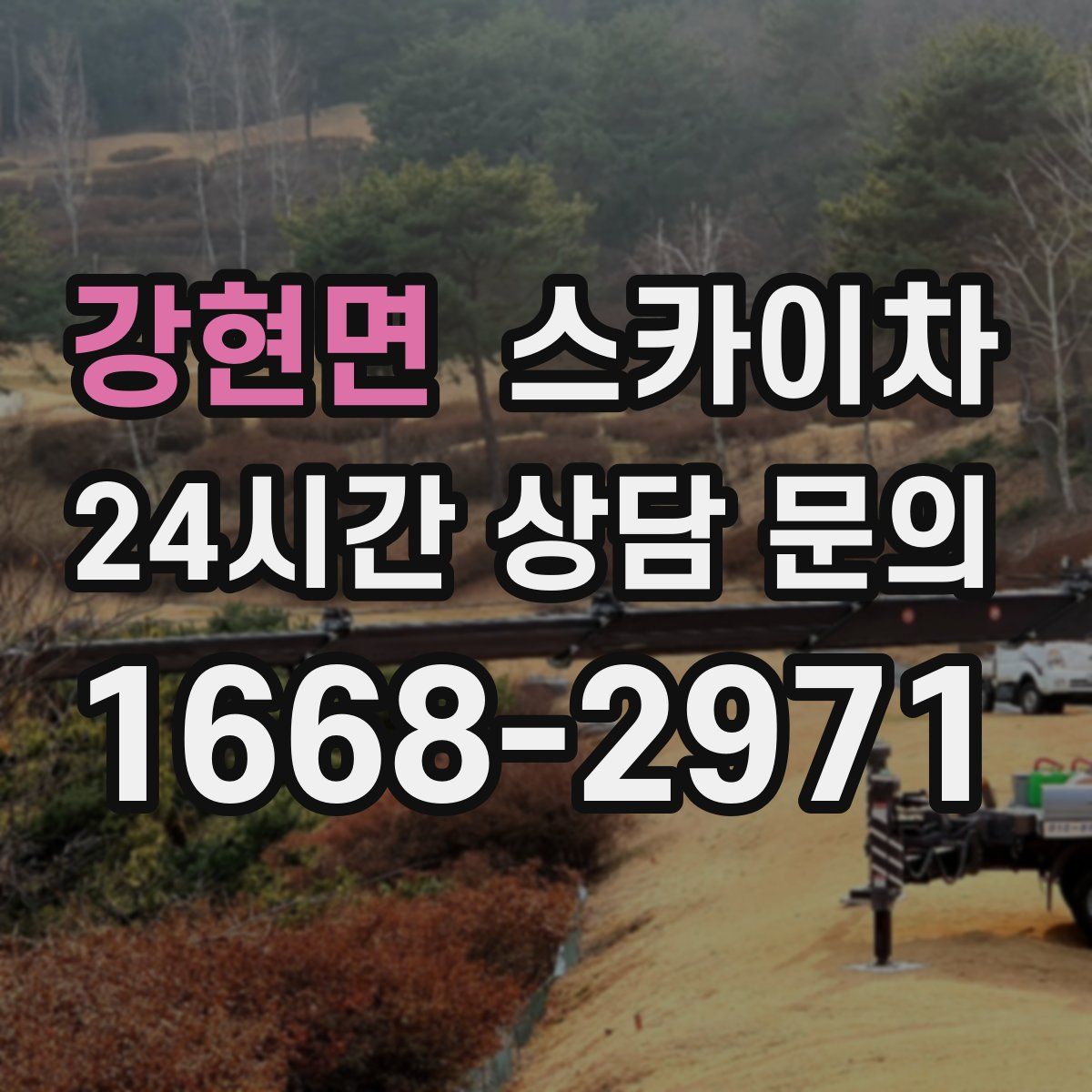 강현면 스카이차