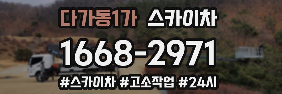 다가동1가 스카이차
