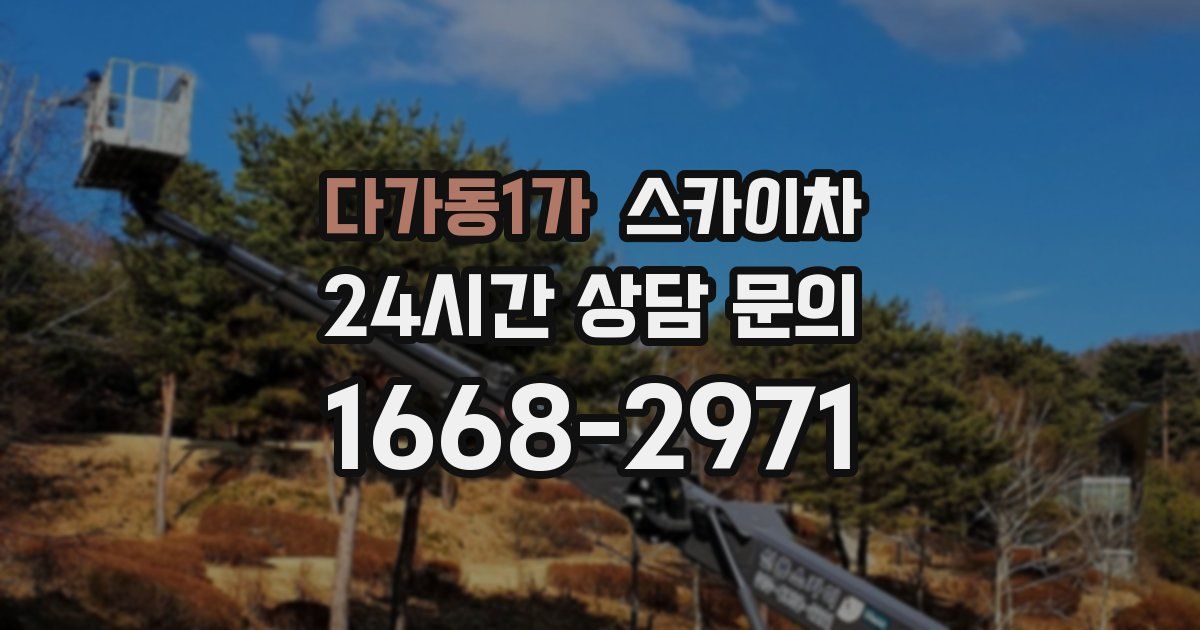 다가동1가 스카이차