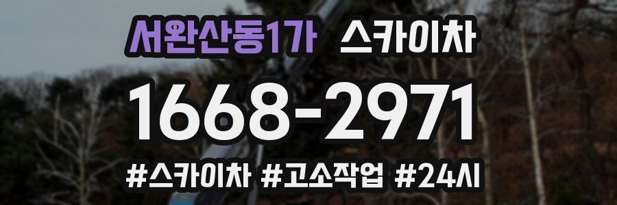 서완산동1가 스카이차
