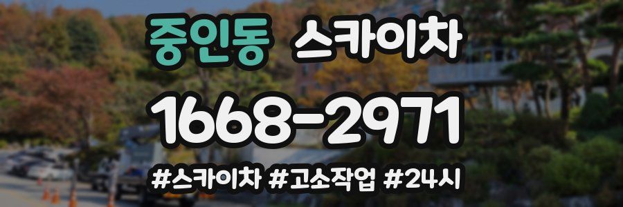 중인동 스카이차