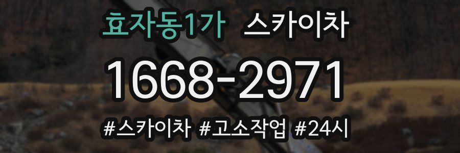 효자동1가 스카이차