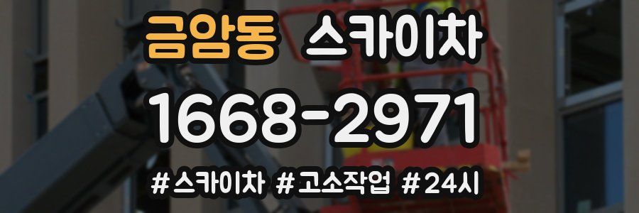 금암동 스카이차