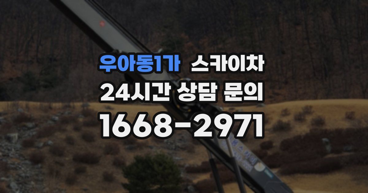 우아동1가 스카이차