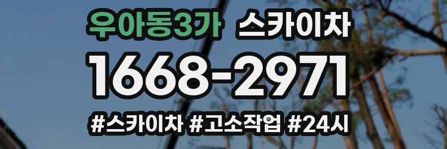 우아동3가 스카이차