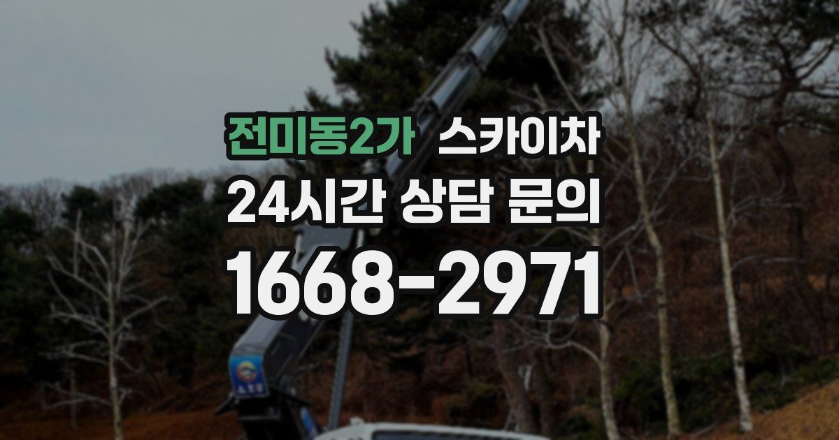 전미동2가 스카이차