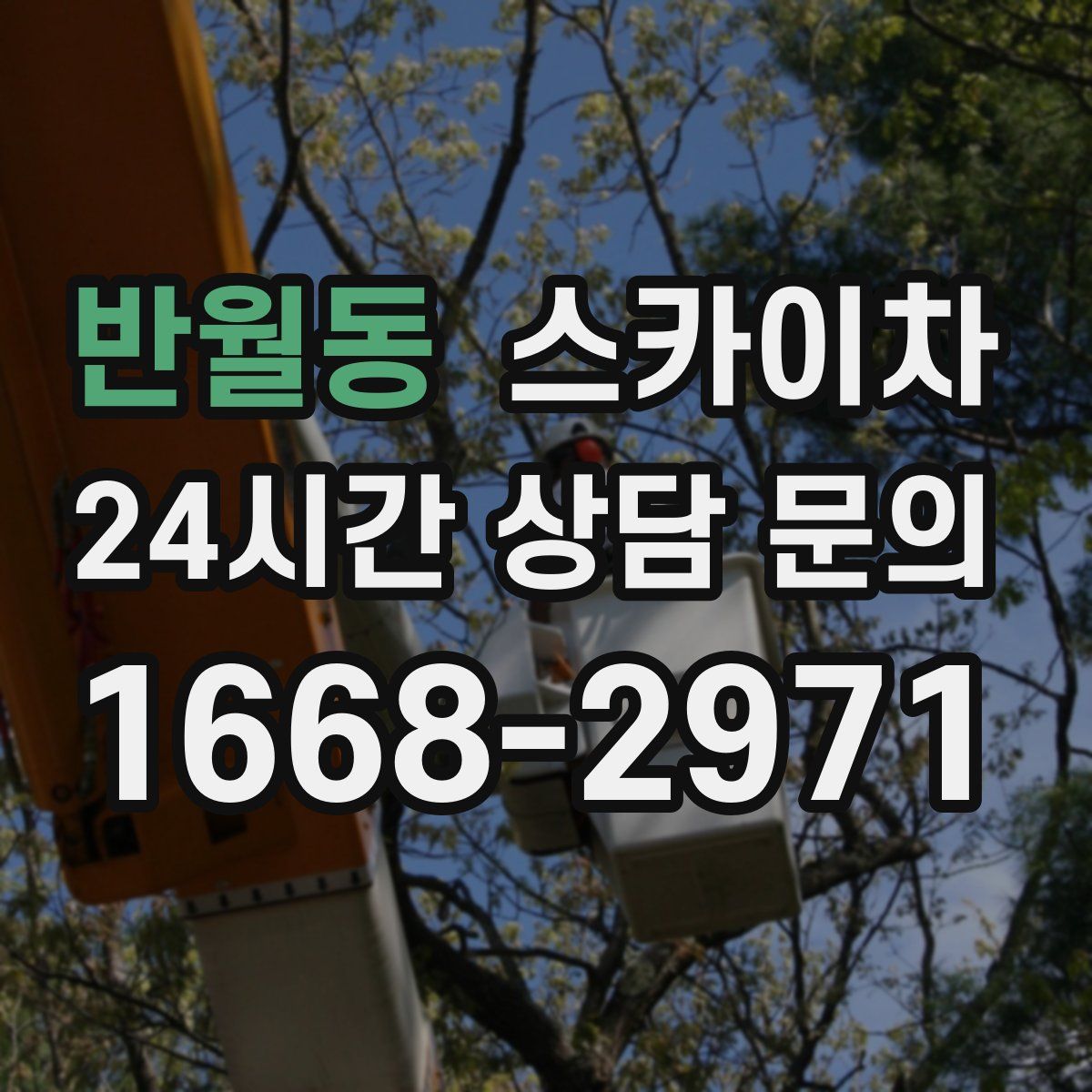 반월동 스카이차