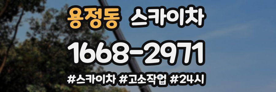 용정동 스카이차