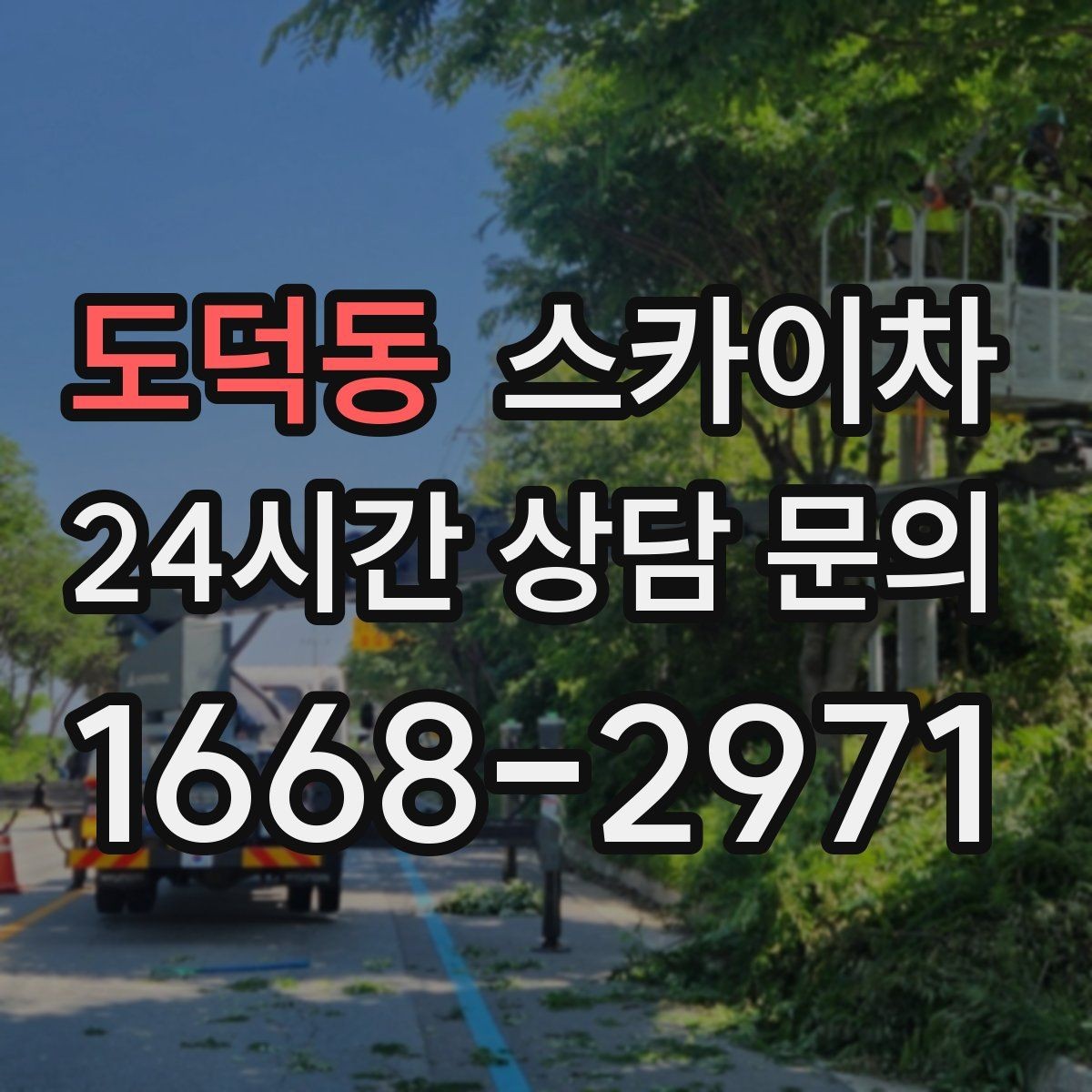 도덕동 스카이차 작업 시간대 선택이 중요한 이유