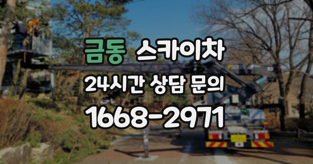 금동 스카이차